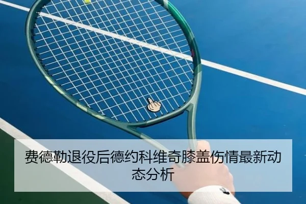 费德勒退役后德约科维奇膝盖伤情最新动态分析